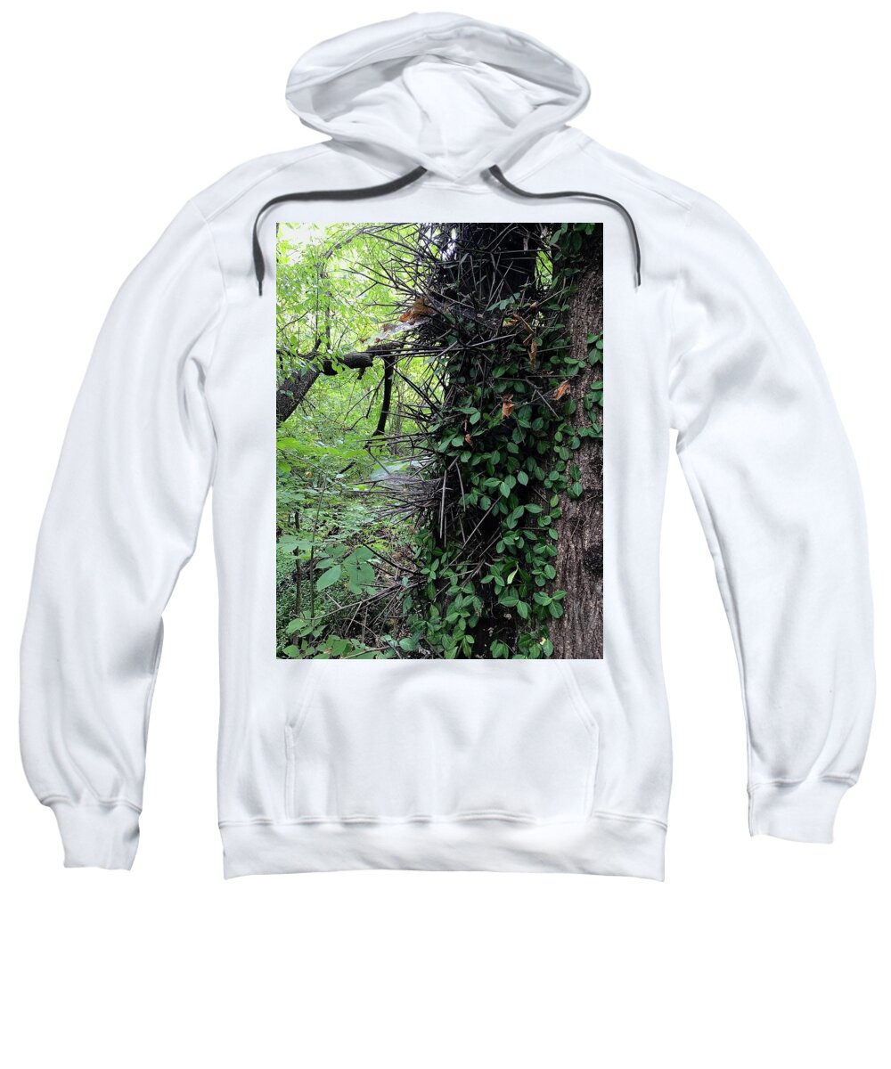 Thorn Trail - Sweatshirt