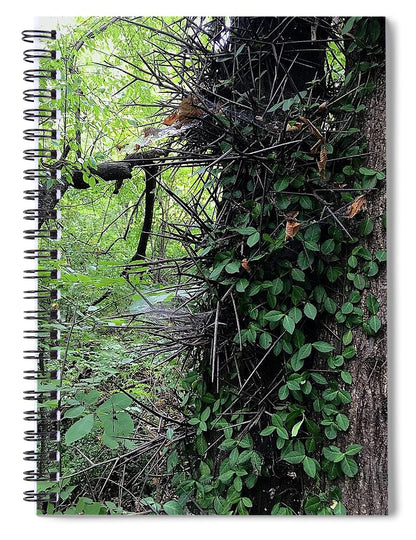 Thorn Trail - Spiral Notebook