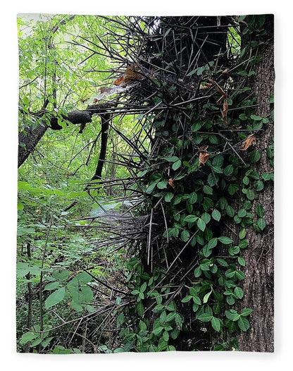 Thorn Trail - Blanket