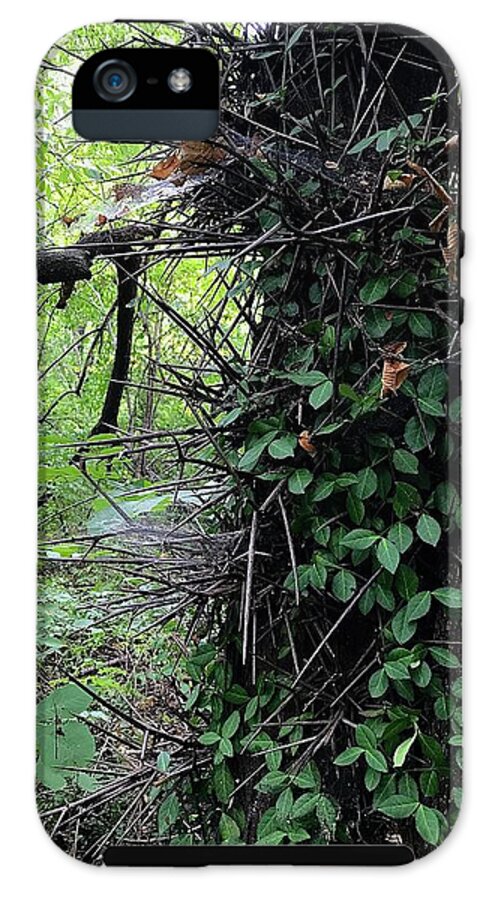 Thorn Trail - Phone Case