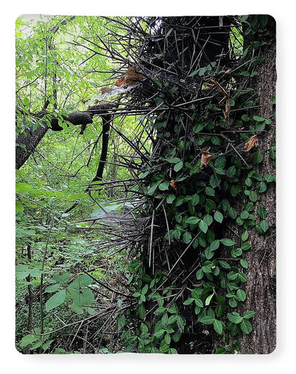 Thorn Trail - Blanket
