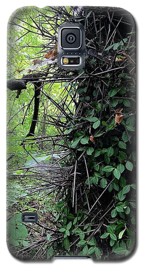 Thorn Trail - Phone Case