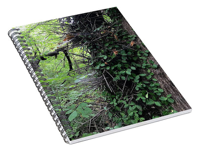 Thorn Trail - Spiral Notebook