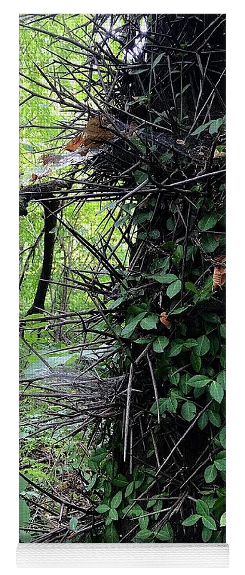 Thorn Trail - Yoga Mat