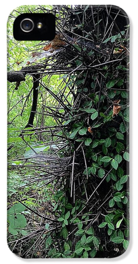 Thorn Trail - Phone Case