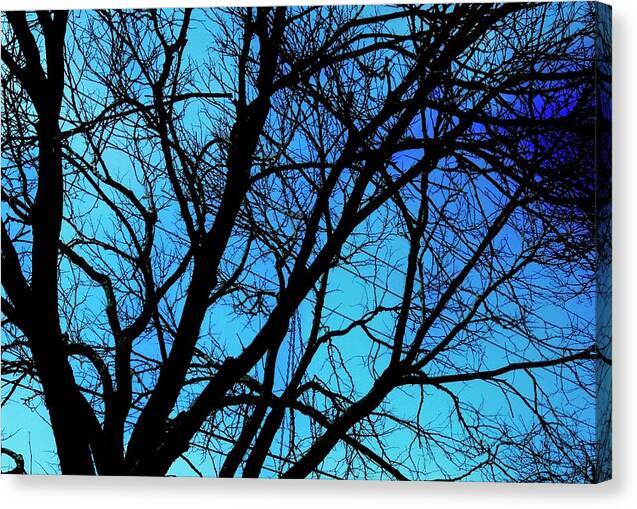 Winter Branch - Canvas Print
