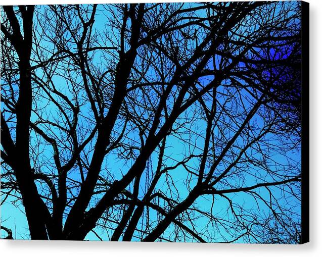 Winter Branch - Canvas Print