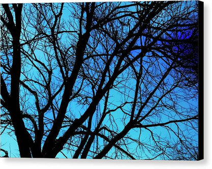 Winter Branch - Canvas Print