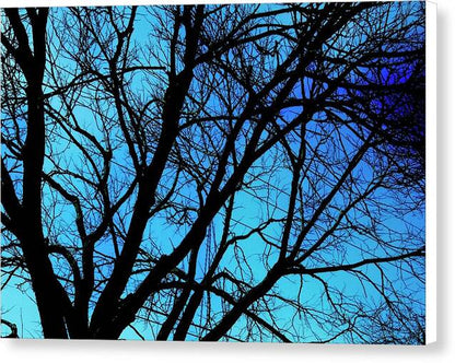 Winter Branch - Canvas Print