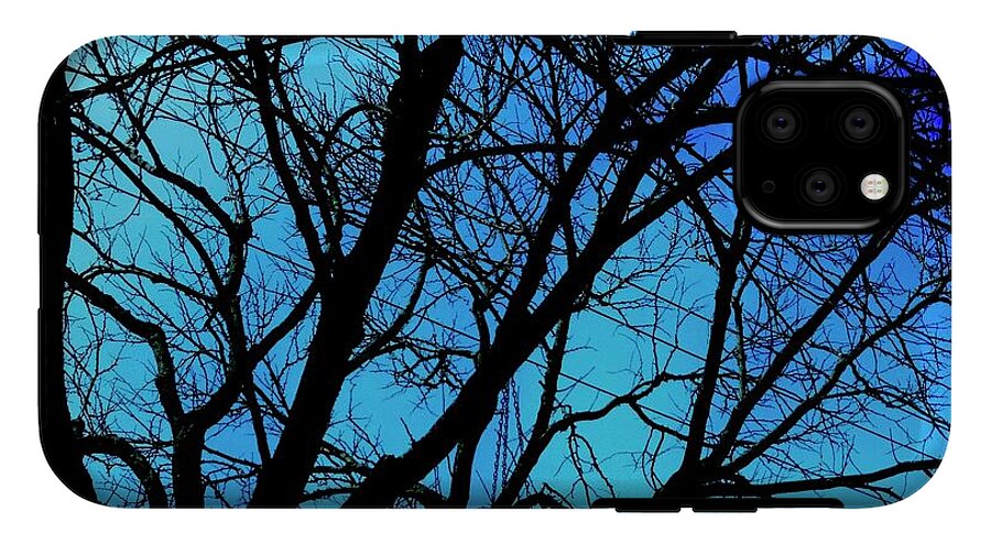 Winter Branch - Phone Case