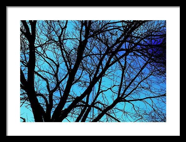 Winter Branch - Framed Print