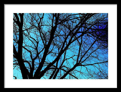 Winter Branch - Framed Print