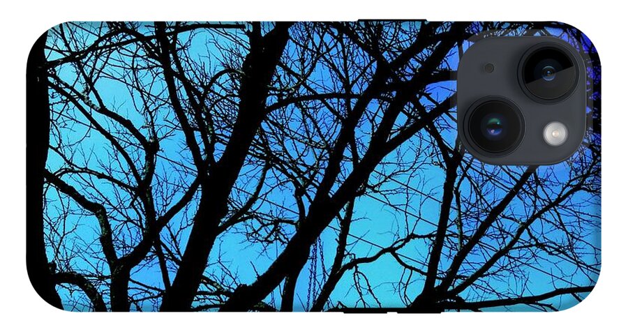 Winter Branch - Phone Case