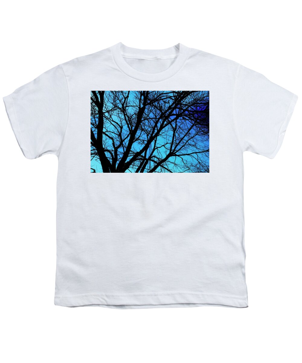 Winter Branch - Youth T-Shirt