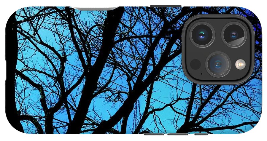 Winter Branch - Phone Case