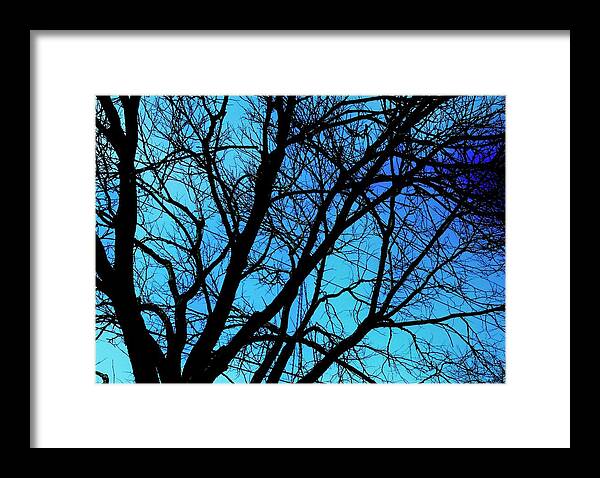 Winter Branch - Framed Print