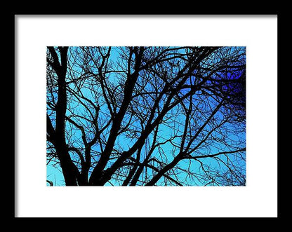 Winter Branch - Framed Print