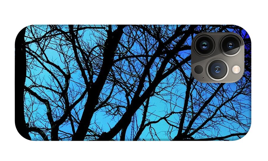 Winter Branch - Phone Case