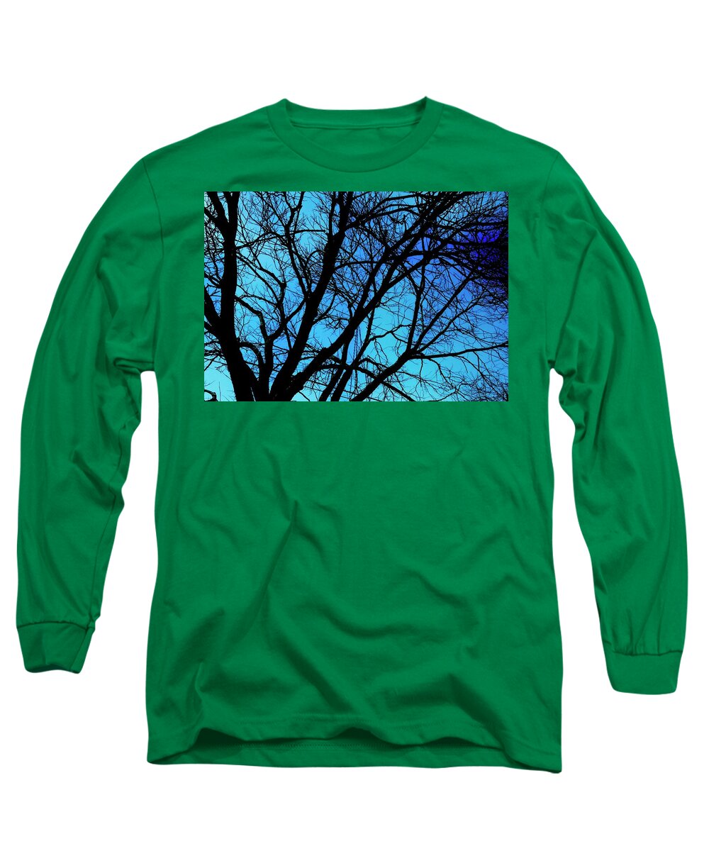 Winter Branch - Long Sleeve T-Shirt