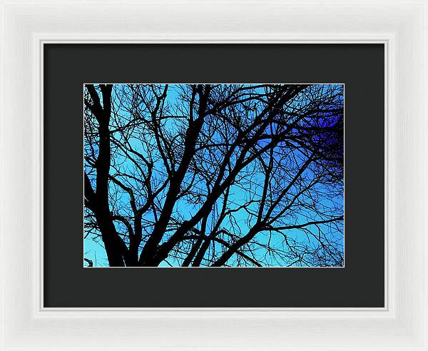 Winter Branch - Framed Print