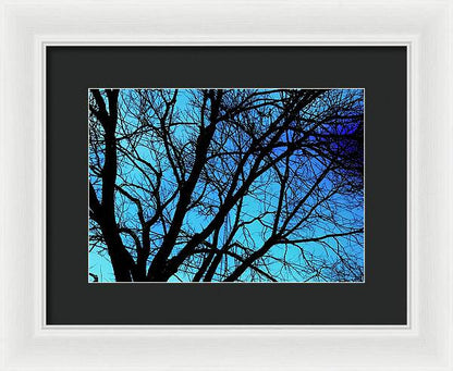 Winter Branch - Framed Print