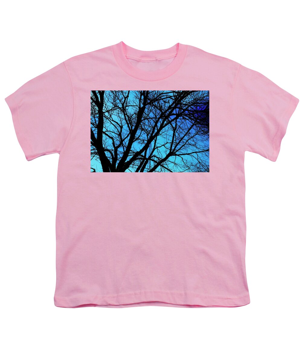 Winter Branch - Youth T-Shirt