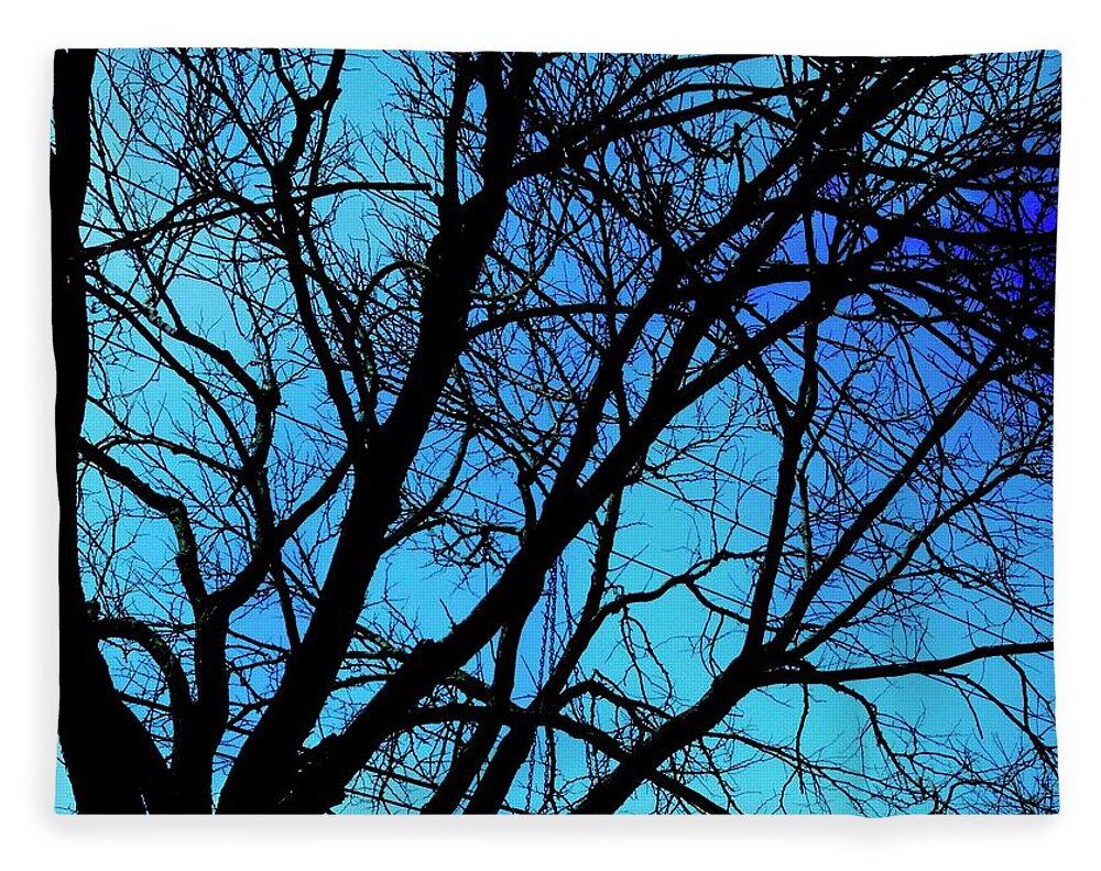 Winter Branch - Blanket