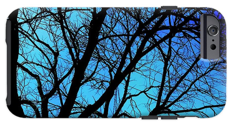Winter Branch - Phone Case