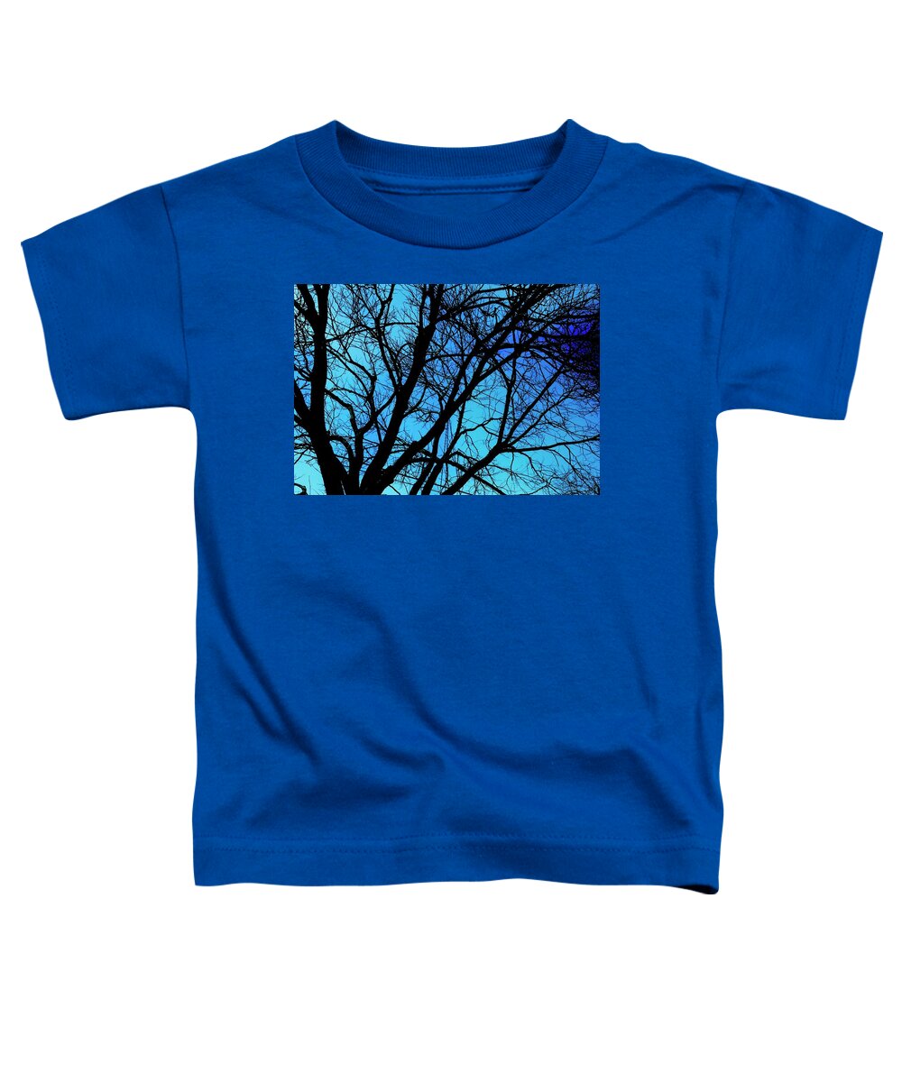 Winter Branch - Toddler T-Shirt