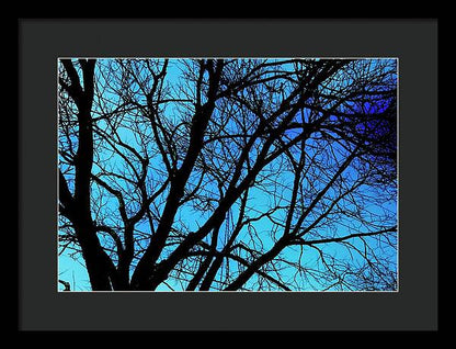 Winter Branch - Framed Print