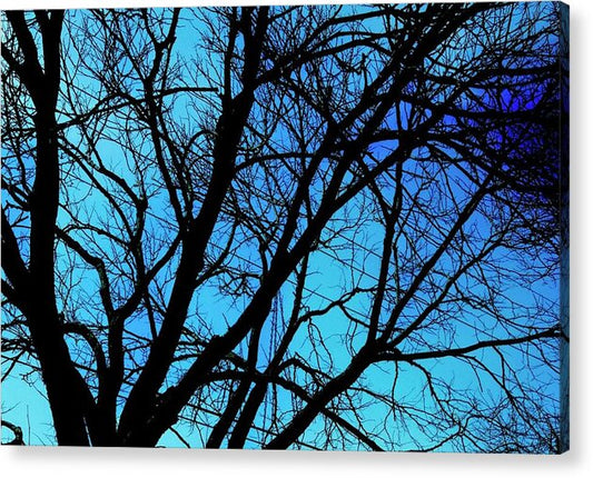 Winter Branch - Acrylic Print