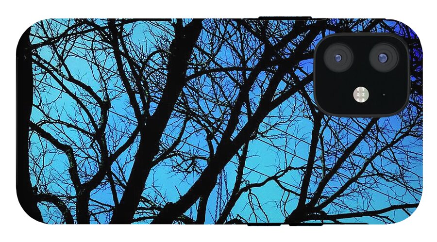 Winter Branch - Phone Case