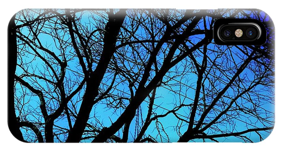 Winter Branch - Phone Case