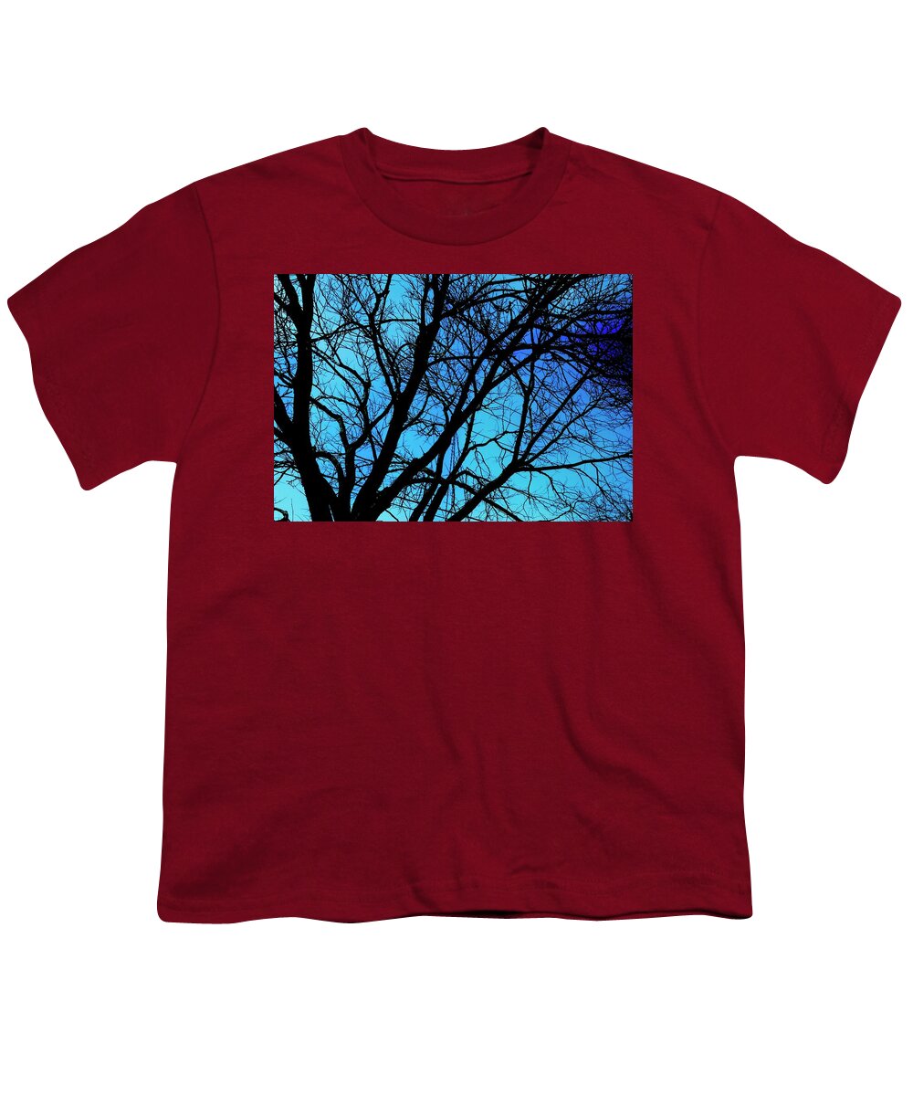 Winter Branch - Youth T-Shirt