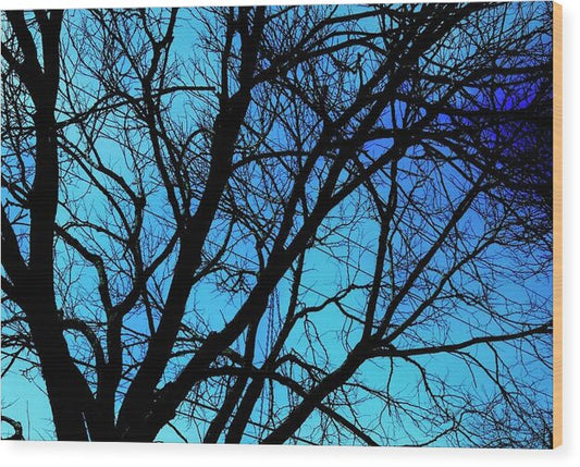 Winter Branch - Wood Print