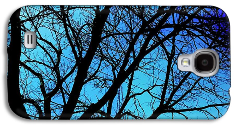 Winter Branch - Phone Case