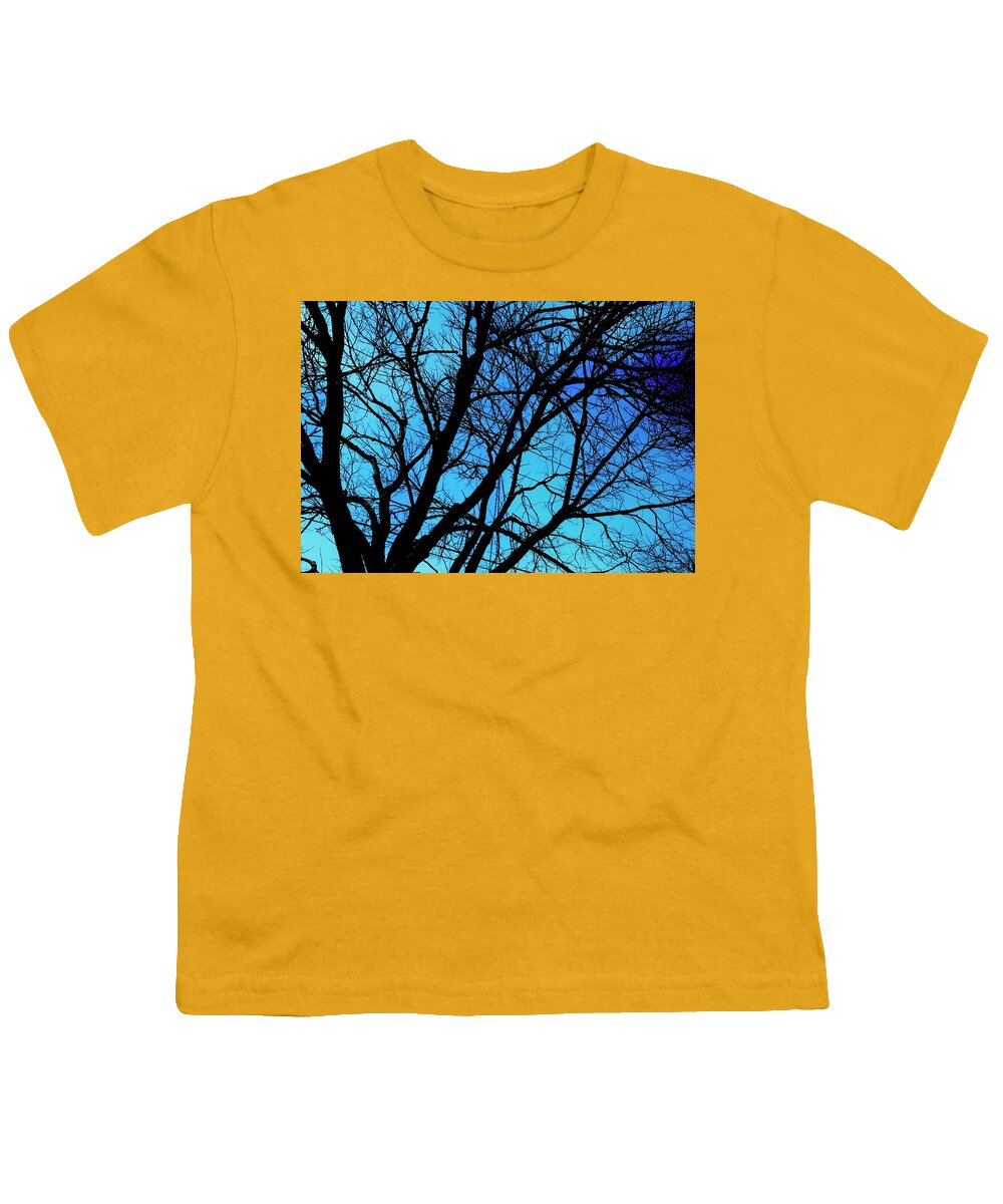 Winter Branch - Youth T-Shirt
