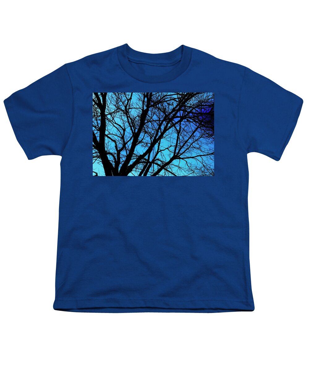 Winter Branch - Youth T-Shirt