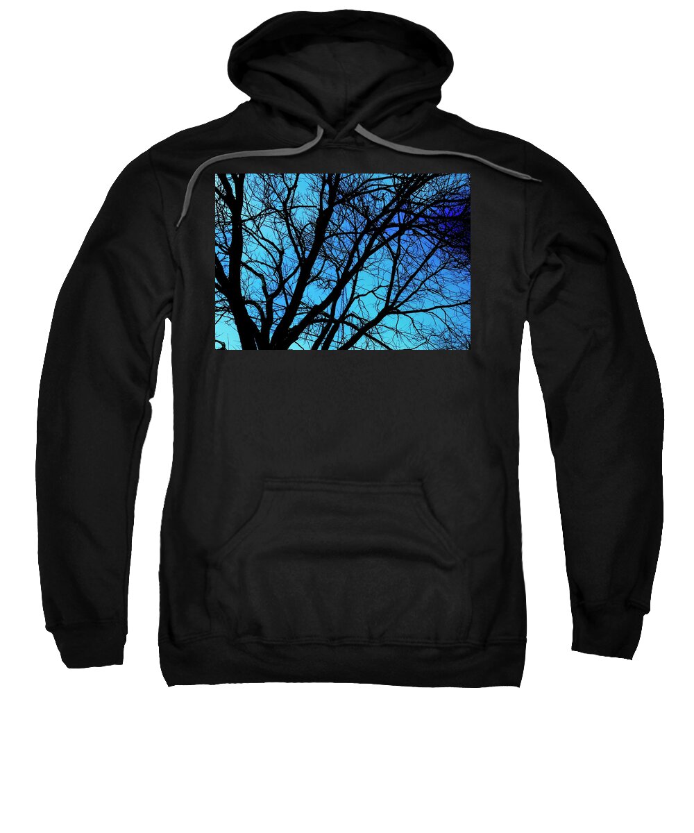 Winter Branch - Sweatshirt
