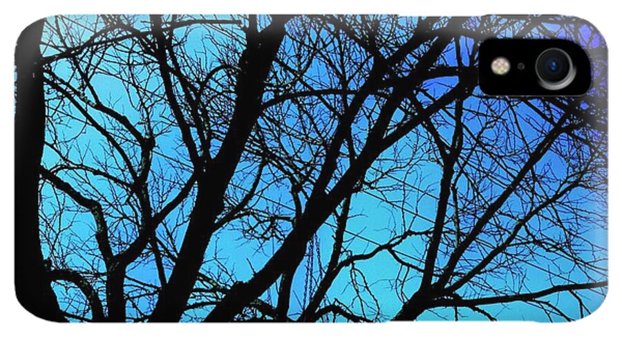 Winter Branch - Phone Case