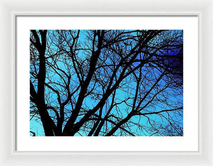 Winter Branch - Framed Print