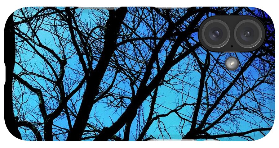 Winter Branch - Phone Case