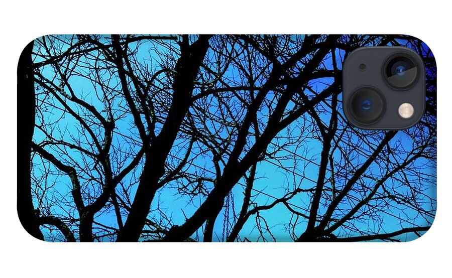 Winter Branch - Phone Case