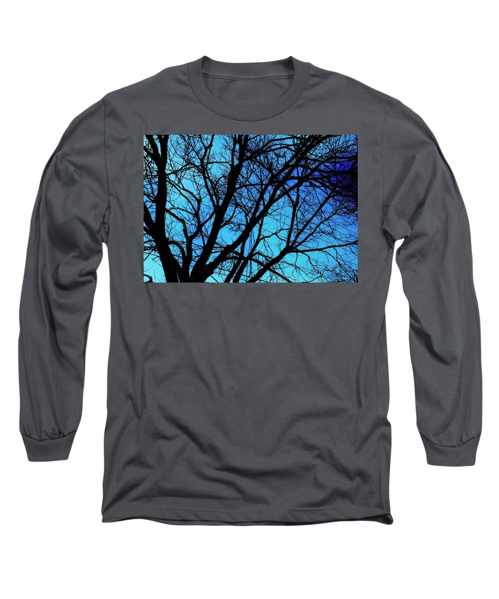 Winter Branch - Long Sleeve T-Shirt
