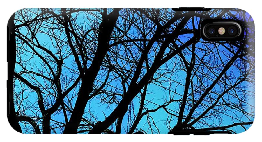 Winter Branch - Phone Case