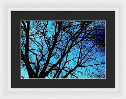 Winter Branch - Framed Print