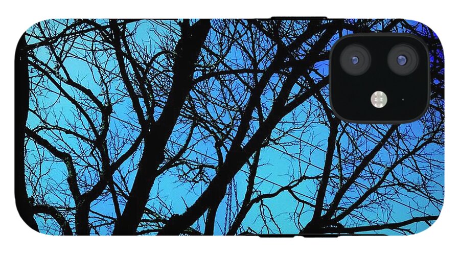 Winter Branch - Phone Case