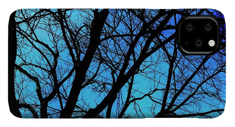 Winter Branch - Phone Case