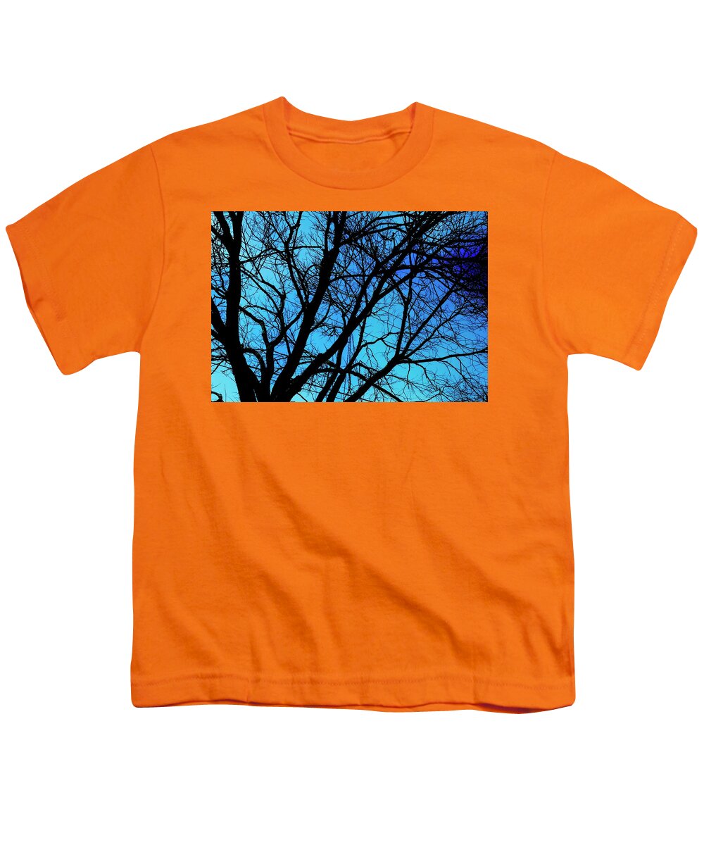 Winter Branch - Youth T-Shirt