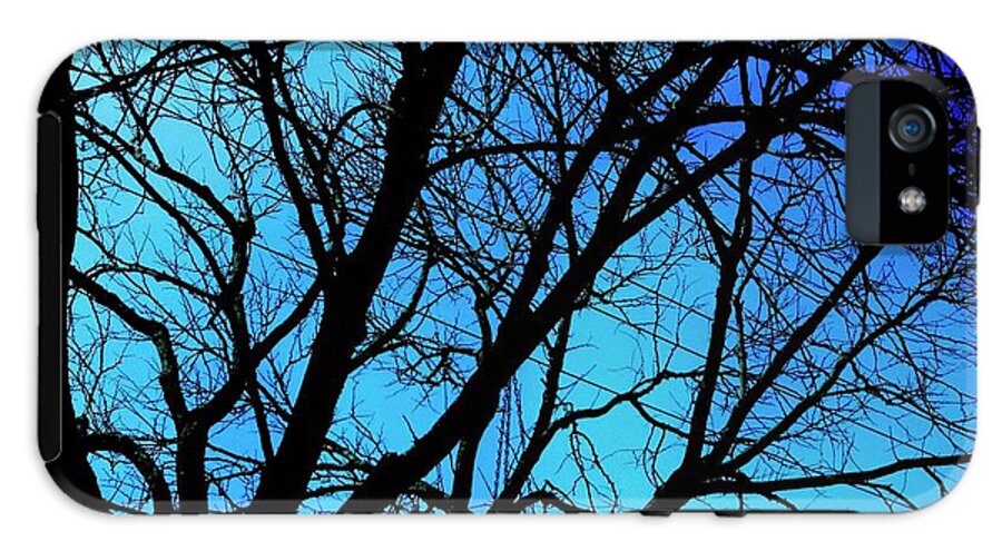 Winter Branch - Phone Case